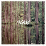 Brigades CD - Crocodile Tears