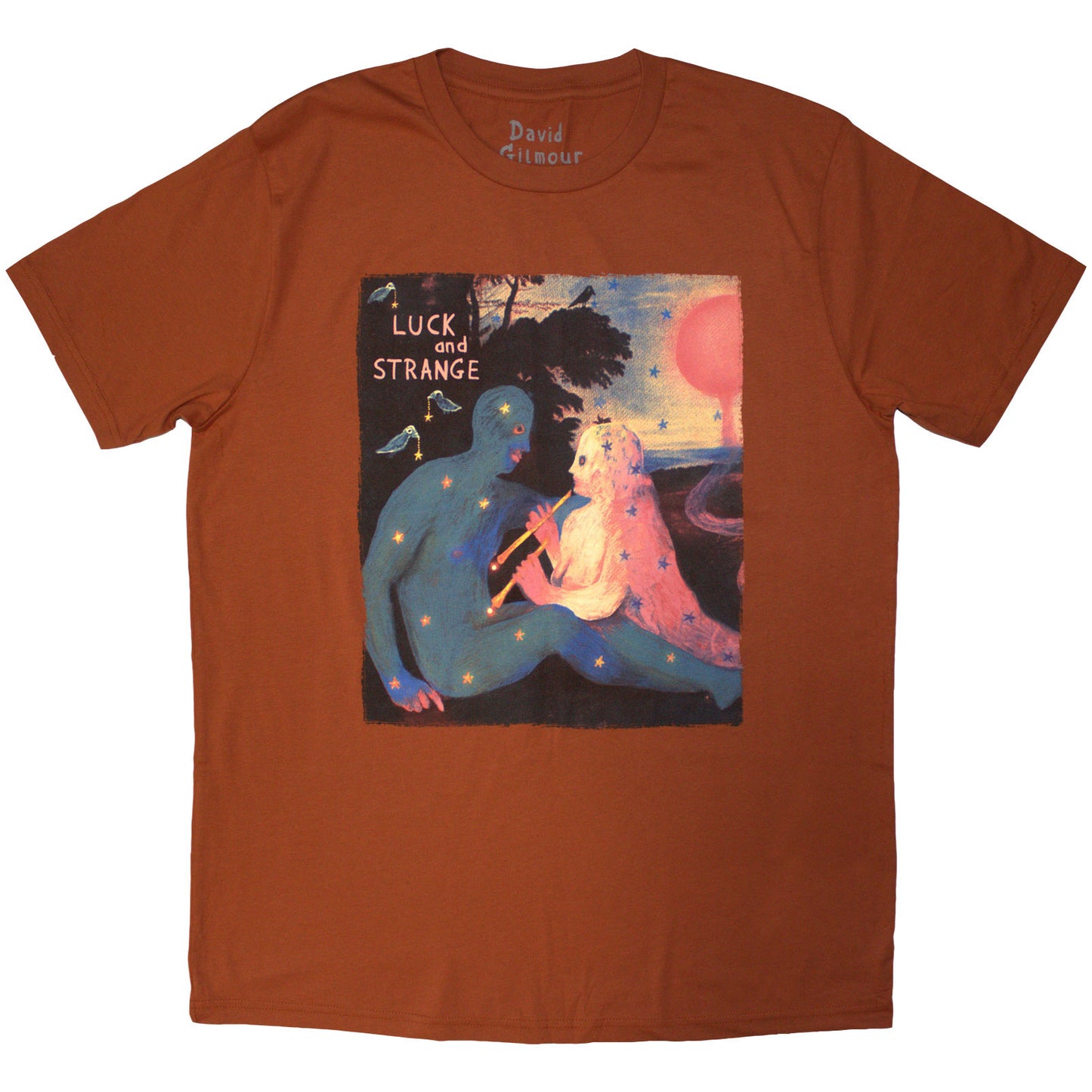David Gilmour T Shirt - Luck & Strange London 2