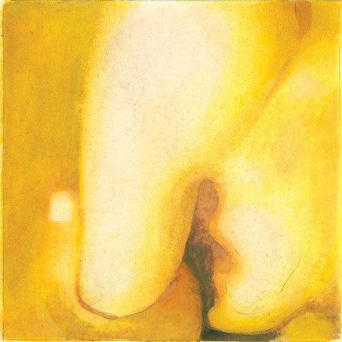  Hiro Kone LP Vinyl - Fossil Begins To Bray (Coloured Vinyl) (Pnk) | Buy Now For 29.99