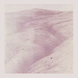 Theodore Wild Ride LP - Theodore Wild Ride