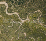 Estuary Blacks CD - Estuary Blacks