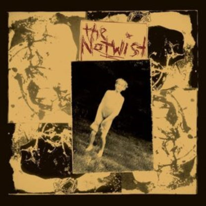 Notwist. The LP - Notwist  The (30Th Anniversary