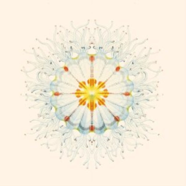 Charlie Charlie LP - Litte Things
