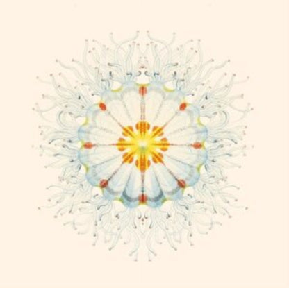 Charlie Charlie LP - Litte Things