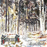Bahrrecht CD - Laube Glacee