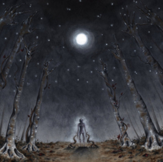 Blaze Of Sorrow CD - Astri