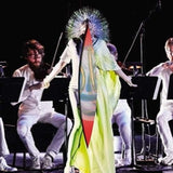 Bjork LP Vinyl Record - Vulnicura Strings