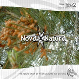Various Artists CD - Nova Natura 2