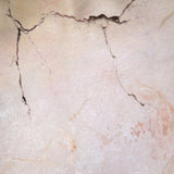 Metome 12Inch - Shibboleth