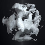 Penelopes Fiance LP - The Cutting Edge Of A Knife