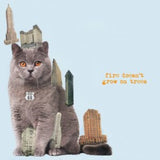 Brian Jonestown Massacre LP - Fire Doesn'T Grow On Trees