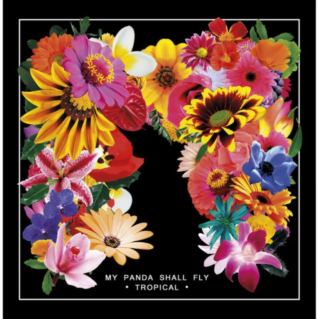 My Panda Shall Fly LP - Tropical