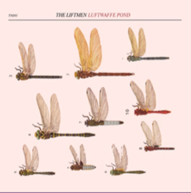 Liftmen CD - Luftwaffe Pond