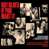 Various Artists CD - Got Blues If You Want It