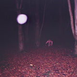 Buzzard Buzzard Buzzard CD - Skinwalker