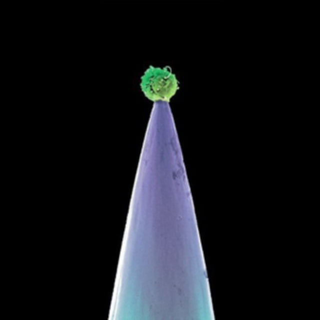 Peter Gabriel CD - New Blood