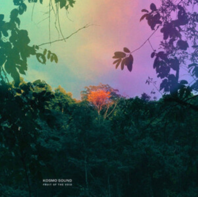 Kosmo Sound LP - Fruit Of The Void