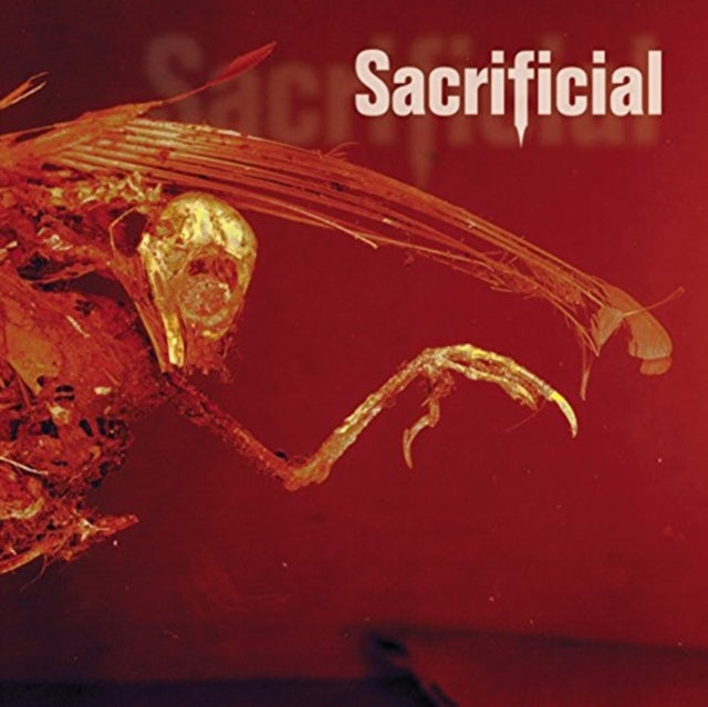 Scarifical CD - Autohate