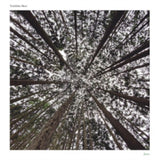 Toshihiko Mori CD - Jinen