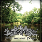 Nechochwen CD - The Ancient Pulse