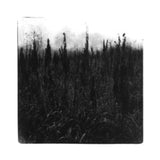 David Bennet & Vilhelm Bromander CD - Within Reach Of Eventuality