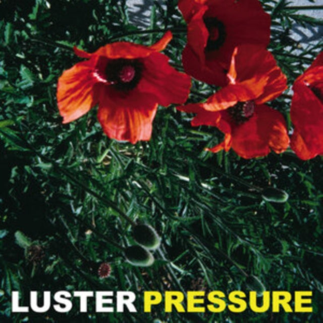 Luster LP - Pressure