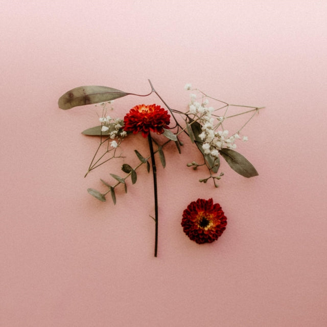 Sunsleeper LP - You Can Miss Something & Not W