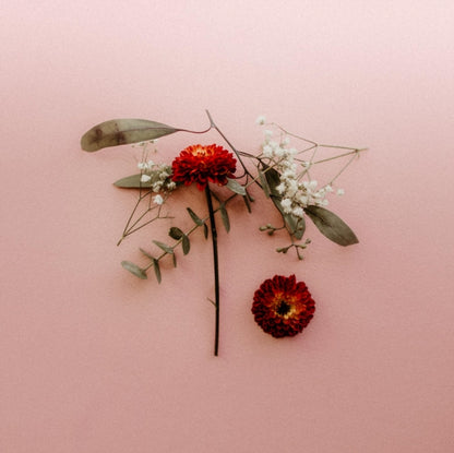 Sunsleeper LP - You Can Miss Something & Not W