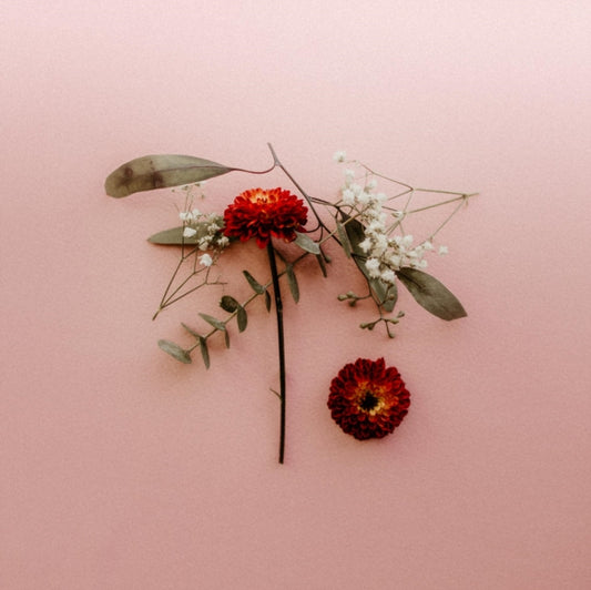 Sunsleeper LP - You Can Miss Something & Not W