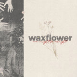 Waxflower CD - We Might Be Alright