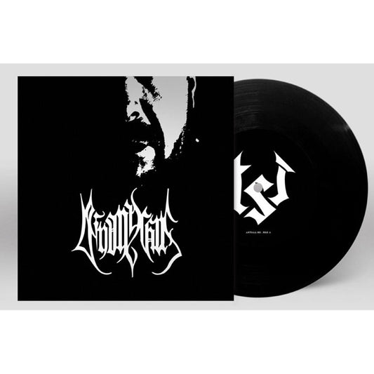 Deinonychus LP - The Audial Representation Of Misery And Despair