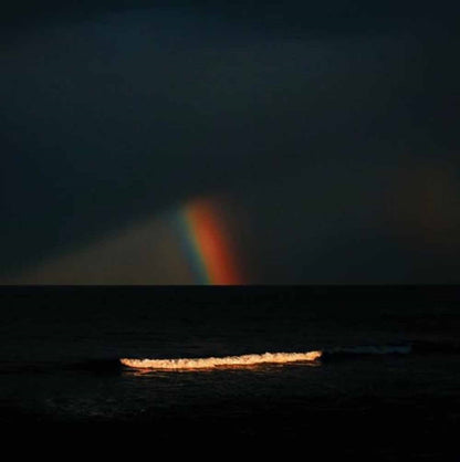 Electric Litany LP - Under A Common Sky (Colourd Vinyl) | Buy Now For 44.99