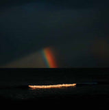 Electric Litany LP - Under A Common Sky (Colourd Vinyl) | Buy Now For 44.99