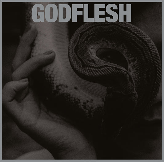 Godflesh LP - Purge | Buy Now For 38.99