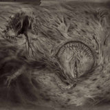 Nidsang LP - Into The Womb Of Dissolving Flames | Buy Now For 32.99