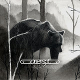 Nest LP - Fabled Lore / Hidden Stream