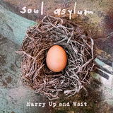 Soul Asylum LP - Hurry Up And Wait (2lp)