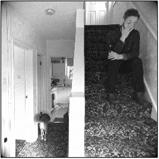 D L Burdon LP - Accidental Aesop | Buy Now For 25.99