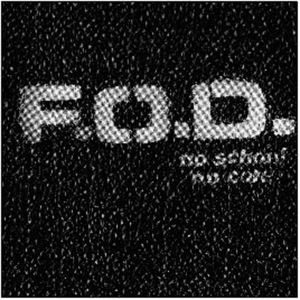 Flag Of Democracy LP - No School, No Core | Buy Now For 25.99