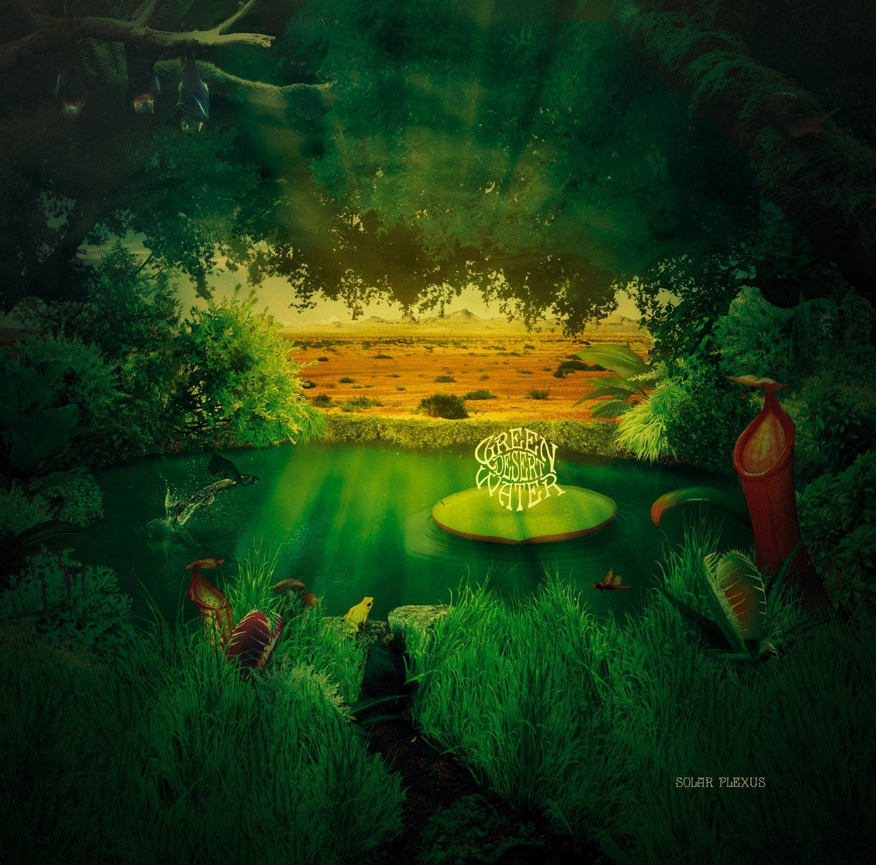 Green Desert Water LP - Solar Plexus | Buy Now For 38.99