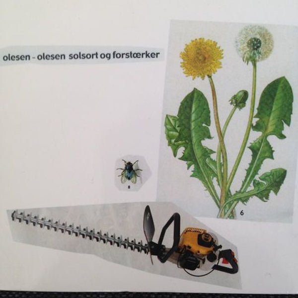 Olesen-Olesen LP - Solsort Og Forstaerker | Buy Now For 47.99