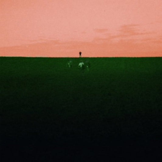 Dust Covered Carpet LP - Witness Me, Pass Out | Buy Now For 29.99