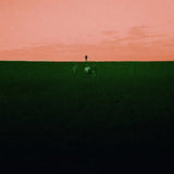 Dust Covered Carpet LP - Witness Me, Pass Out | Buy Now For 29.99