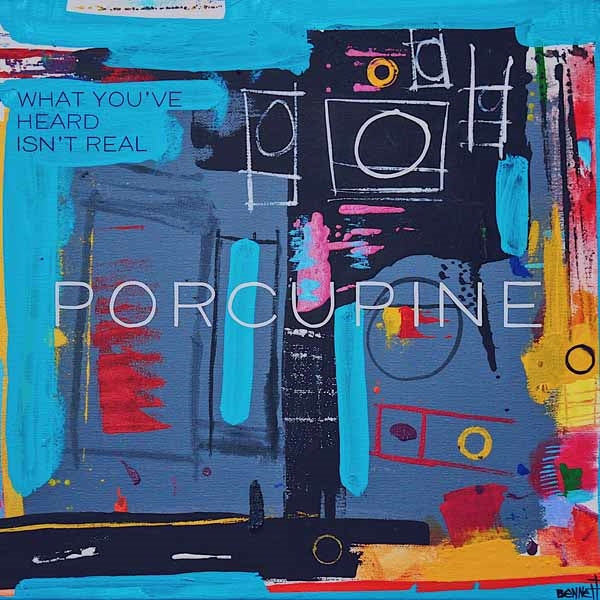 Porcupine LP - What You'Ve Heard Isn'T Real | Buy Now For 29.99