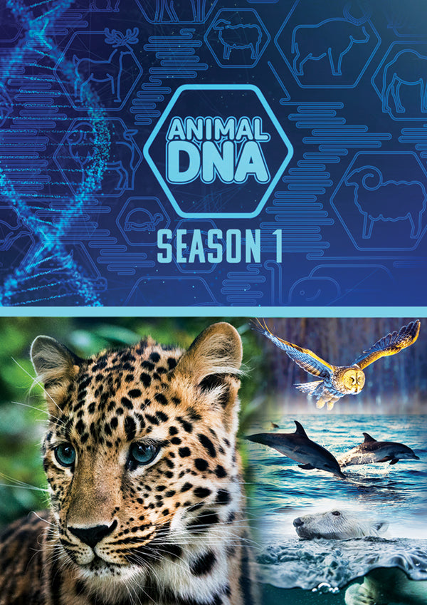 Feature Film DVD - Animal Dna: Season One | Buy Now For 19.99