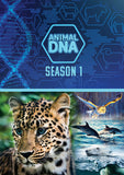Feature Film DVD - Animal Dna: Season One | Buy Now For 19.99