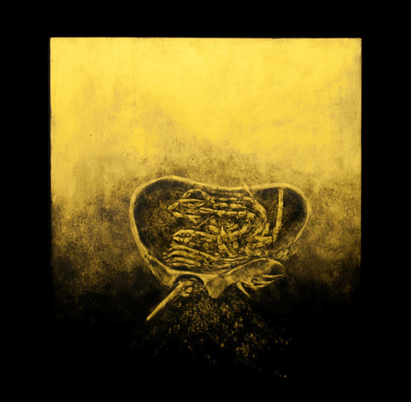 Luna Honey LP - Ballast | Buy Now For 41.99