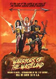 Feature Film DVD - Warriors Of The Wasteland | Buy Now For 19.99