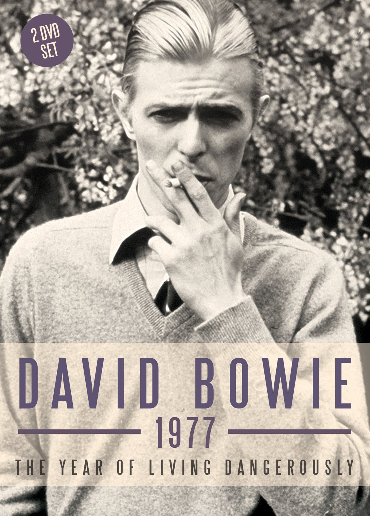 David Bowie DVD - 1977 (2 Dvd) | Buy Now For 19.99