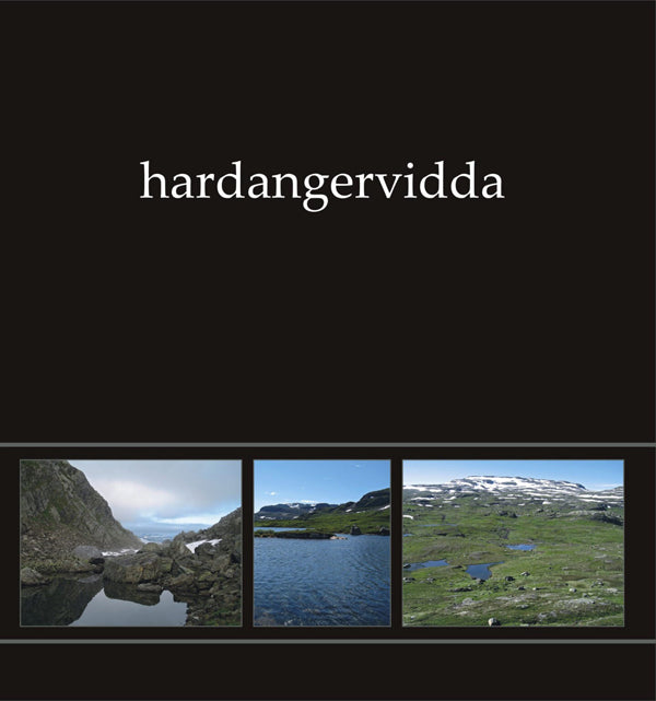 Ildjarn - Nidhogg LP - Hardangervidda I Green Vinyl) | Buy Now For 50.99